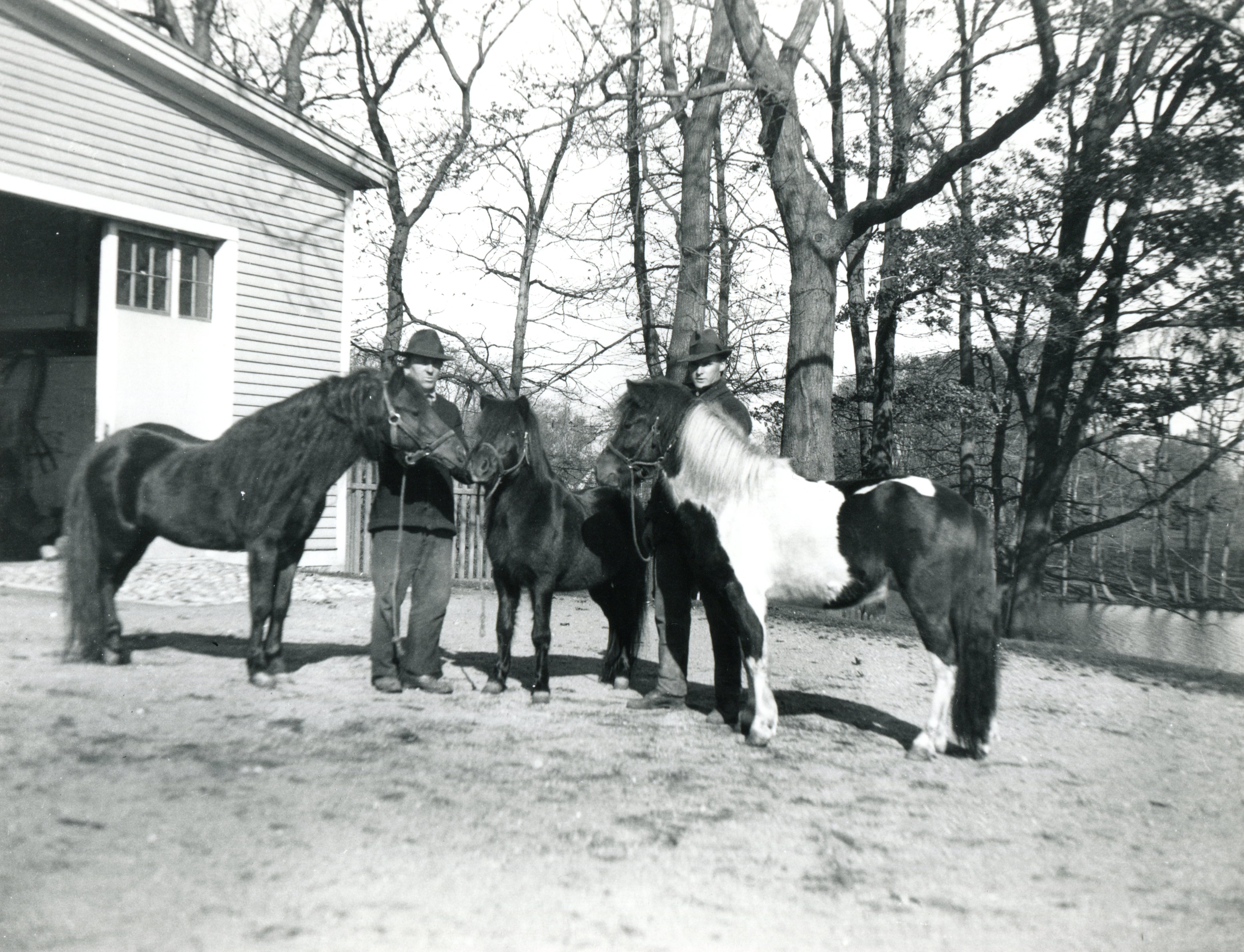 Pony Barn c1920.jpg