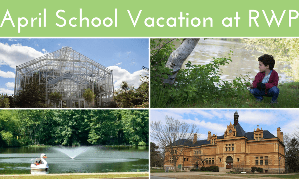 5 February Vacation Ideas at RWP Roger Williams Park